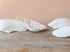 10 Natural White Deep Scallop Shells